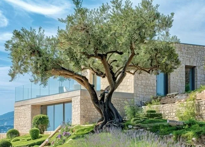 Refined villa garden terrace with layered greenery